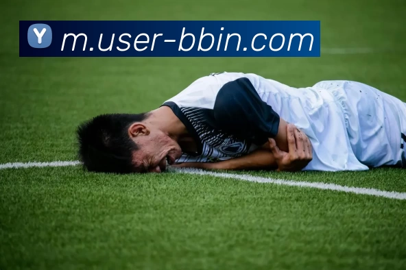 宝盈体育平台生态图