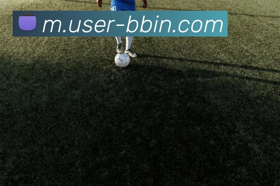 宝盈体育APP 封面图